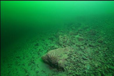 silty rocks on slope