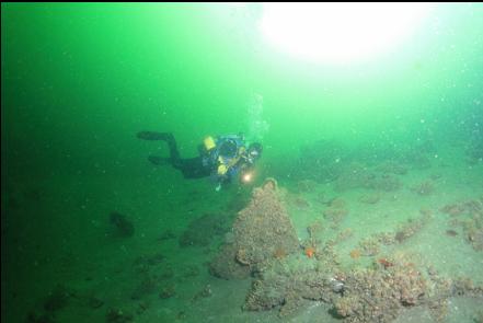 boulders at the base of the reefs