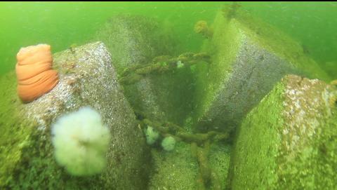 mooring blocks and chain