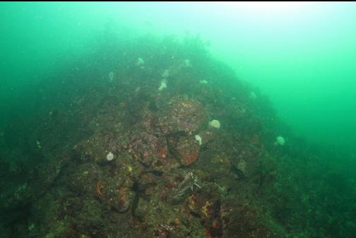 pile of boulders