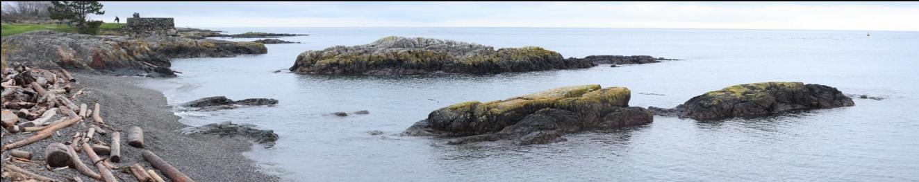 reefs near shore