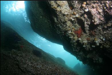 looking up in cavern