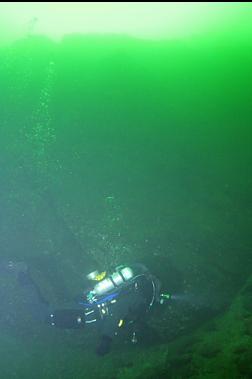 SWIMMING AROUND CORNER AT BASE OF WALL