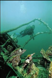 DIVER AND WRECK