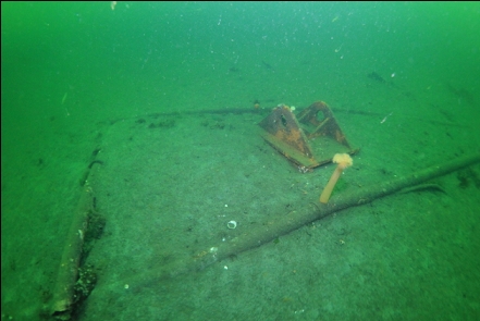 debris before the wrecks