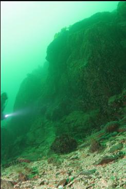 NEXT TO REEF