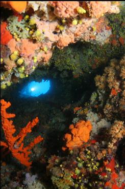 DIVER SHINING LIGHT THROUGH TUNNEL