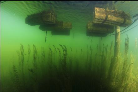 under the float