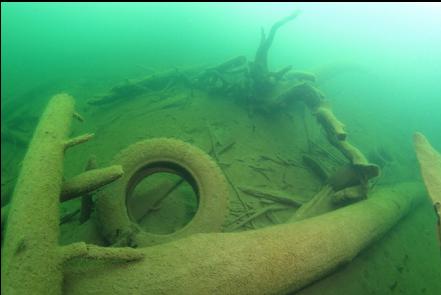 trees and tires