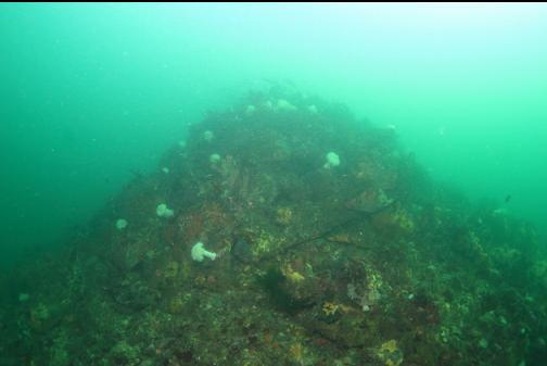 looking up at the end of the sewer reef