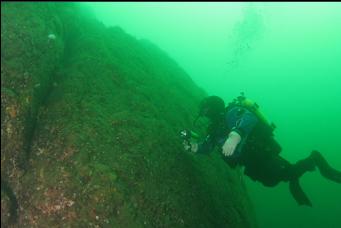 ASCENDING UP WALL PAST CLOUD SPONGE