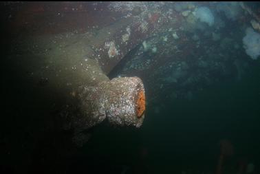 where propeller used to be
