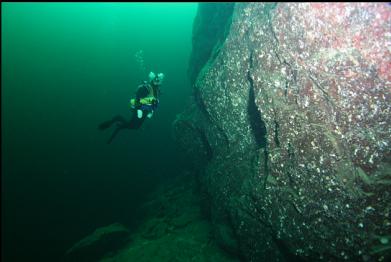 next to wall at 100 feet deep