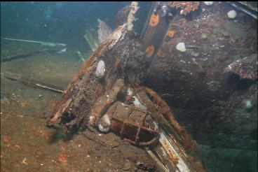 LIGHT ON COLLAPSED PART OF WRECK
