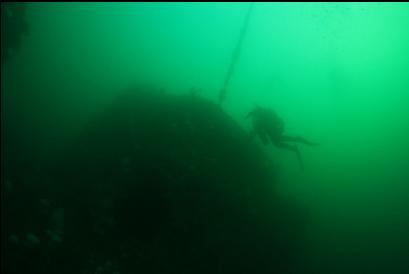 diver over wreck