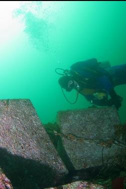 CEMENT BLOCKS AND CHAIN ON ROCKY SLOPE