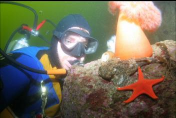 LOOKING AT BUFFALO SCULPIN