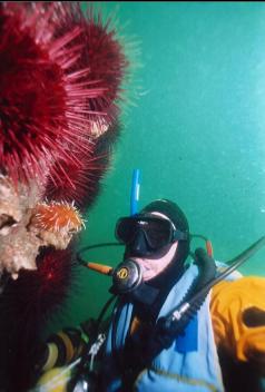 NUDIBRANCH AND URCHINS ON DEEPER REEF