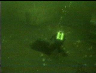 DIVER OVER HOLE IN DECK