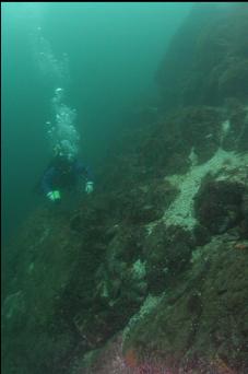 NEAR TOP OF WALL