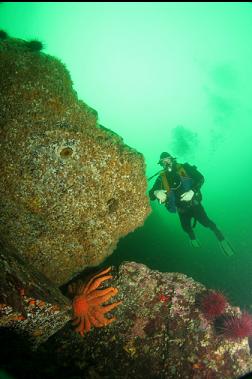 next to piles of boulders