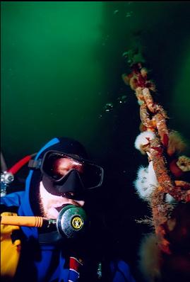 CHAIN UNDER DOCK