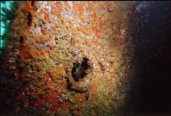 PORTHOLE ON WRECK