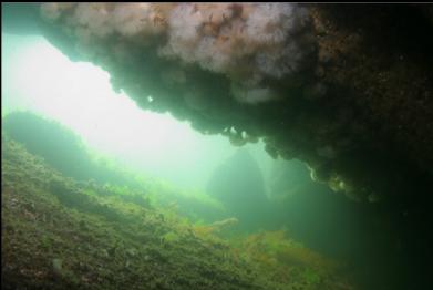 LOOKING OUT OF CRACK IN CAVERN