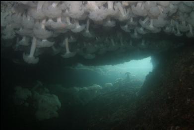 HOLE IN CEILING OF CAVERN