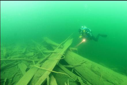 over logs and wood debris