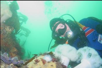 LOOKING AT LIFE ON REEF