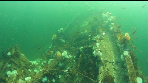 looking back at the stern