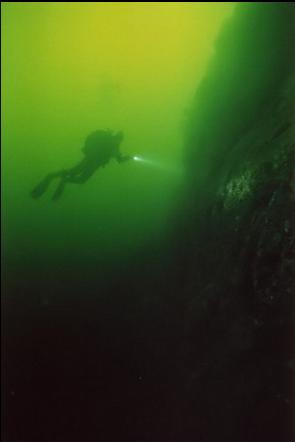 DIVER BY WALL