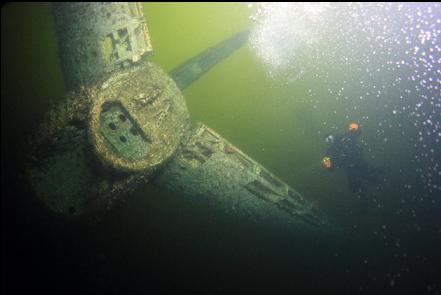 suddenly, a plane swooped past and almost hit a diver