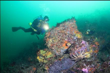 boulder reef