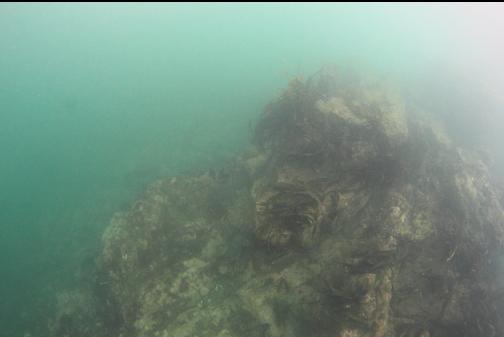 looking down at the shallow reefs