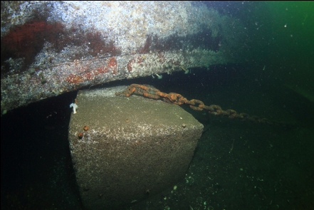 anchor block and chain under a dock