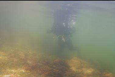 BACK AT SURFACE