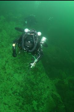 REBREATHER AL