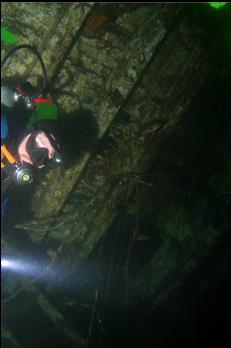 LOOKING INSIDE HULL