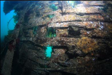 rotting planking on side of hull