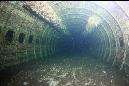 looking down the cabin