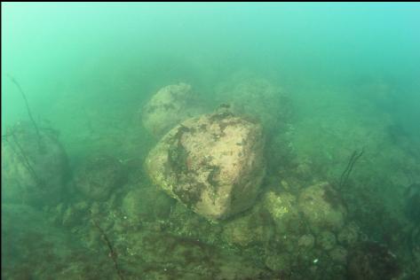 boulders in the shallows