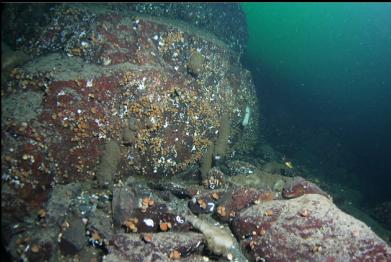 ledge with boot sponges