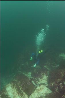 NEAR TOP OF WALL