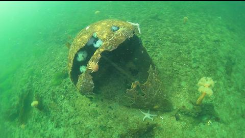 older, rusted buoy