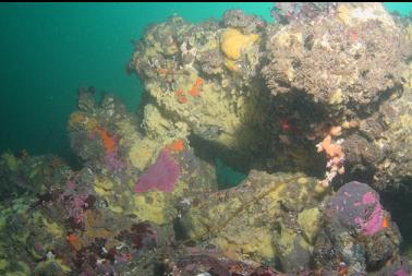 pile of boulders on top of reef