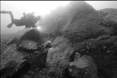 wolfeel den 110' deep