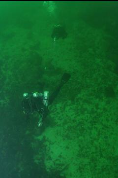 STILL SWIMMING DOWN TO WALL