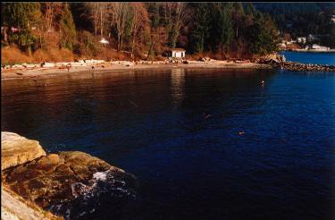 THE BEACH AT WHYTECLIFF